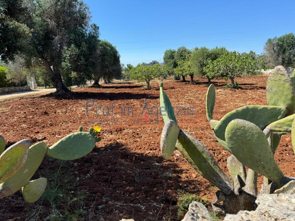Helårsgrund i Carovigno, Brindisi - foto 5